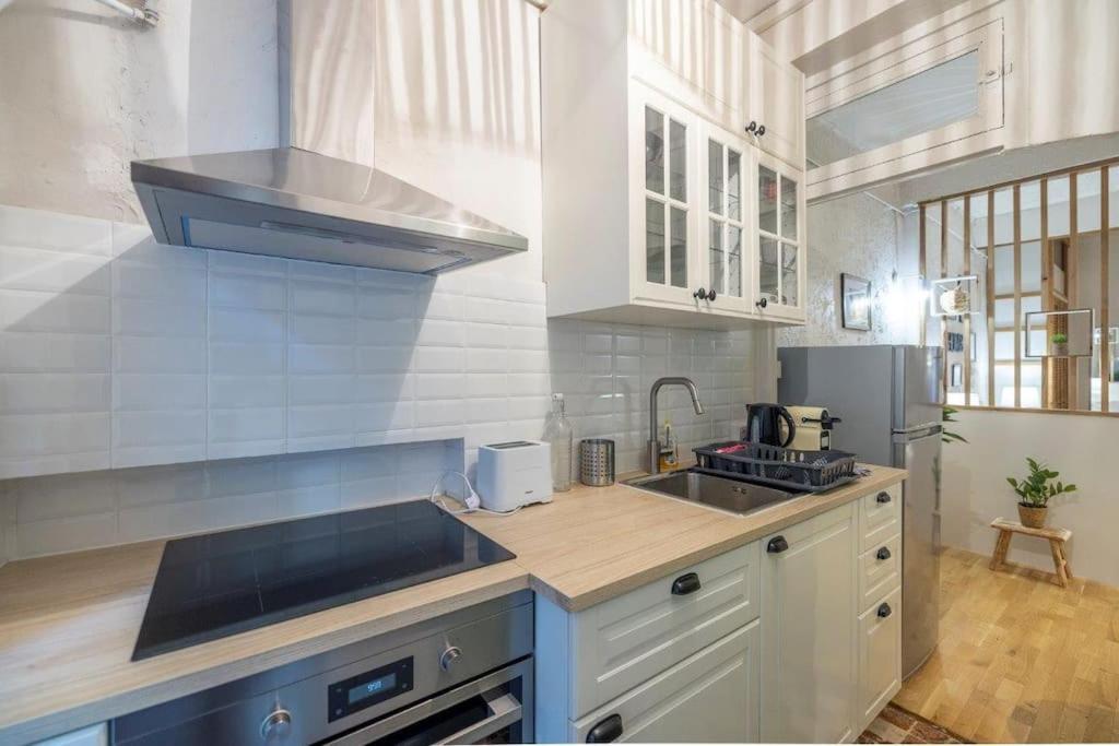 Appartement Cosy Dans Les Rues Pietonnes Grenoble Zewnętrze zdjęcie